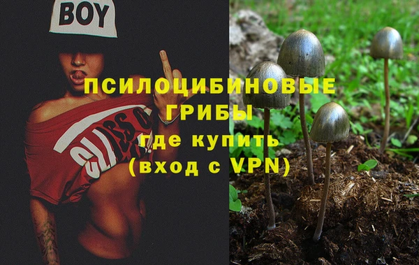 мет Верея