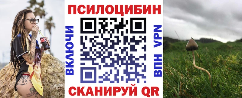 Галлюциногенные грибы GOLDEN TEACHER  Можайск 